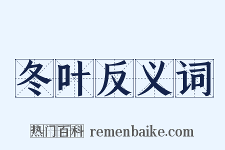 冬叶反义词是什么意思的图片